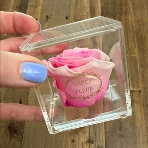 Venus Et Fleur Pink Rose in Acrylic Box